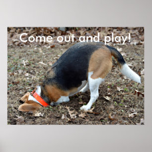 Póster Salir Y Jugar A Beagle Digging