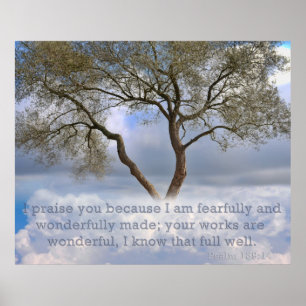 Póster Salmo 139: Me crean temeroso y maravillosamente