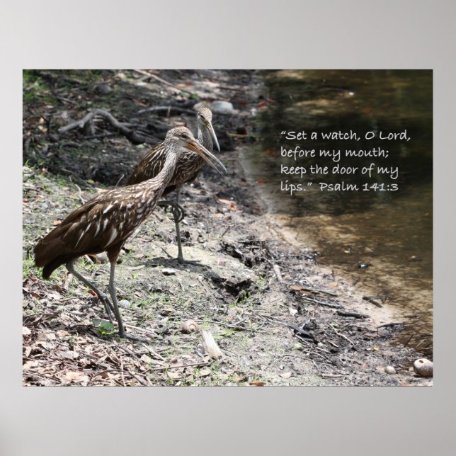 Póster Salmo 141:3 Poster de guiones (Frente)