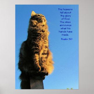 Póster Salmo 19:1 Ángel Cat Meme