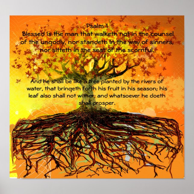 Póster Salmo 1 Bendecido Es El Hombre Que Camina (Frente)