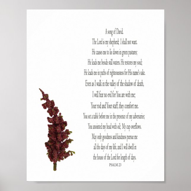 Póster Salmo 23, Papel de Poster floral de plantas verdes (Frente)