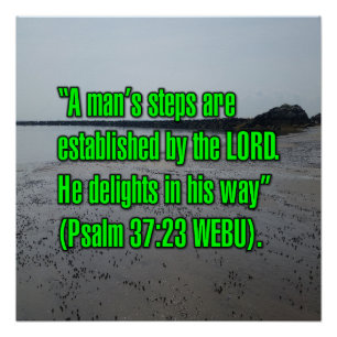 Póster Salmo 37:23 WEBU