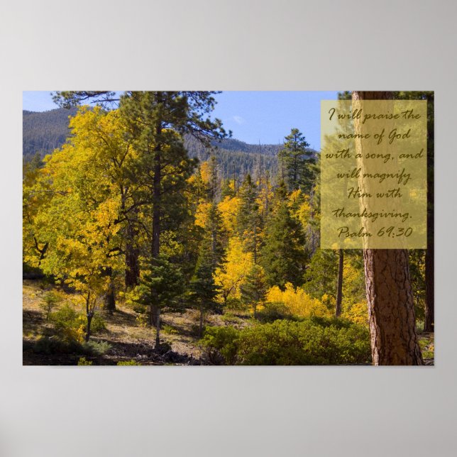 Póster Salmo 69:30 Poster (Frente)