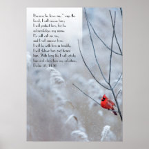 Salmo 91, poster cristiana con un pájaro rojo