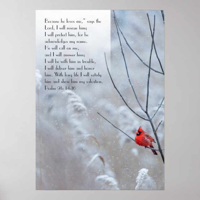 Póster Salmo 91, poster cristiana con un pájaro rojo (Frente)