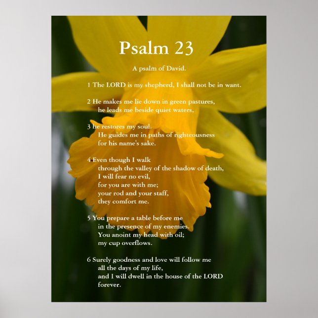 Póster Salmo bíblico 23 versículos de escritura. daffodil (Frente)
