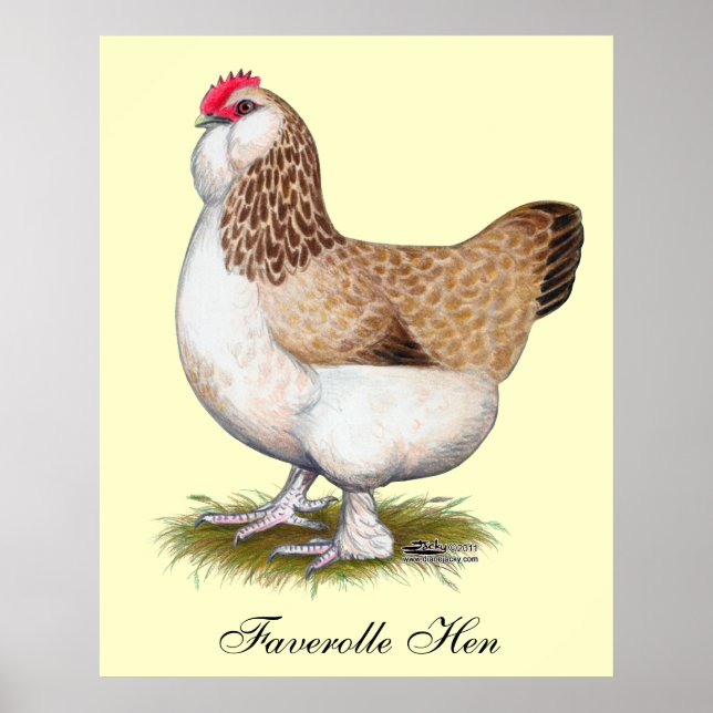 Póster Salmon Faverolle Hen (Frente)