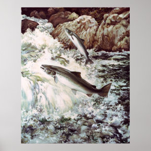 Póster salmon swimming upstream poster