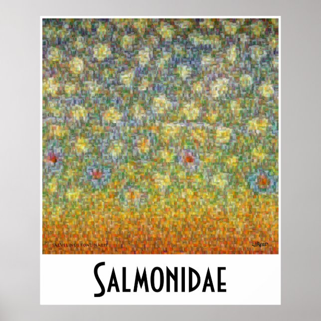 Póster Salmonidae Skins Montaje Postage (Frente)