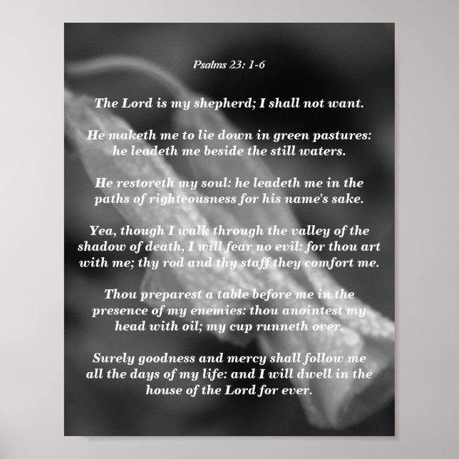 Póster Salmos 23: 1-6 (Frente)