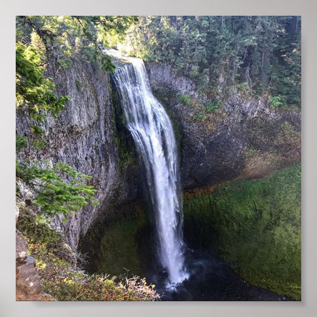 Póster Salt Creek Falls, OR (Frente)