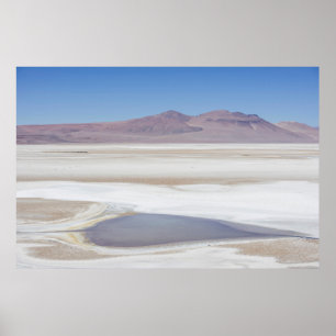 Póster Salt Lake en el camino a la Argentina