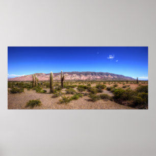 Póster Salta Argentina Cactus Plantas Y Barren Hill