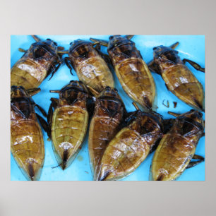 Póster Saltamontes de agua gigante fritos (Maeng Daa) ...