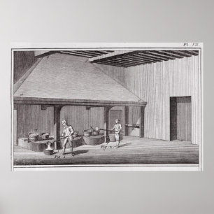 Póster Saltamontes de refinación