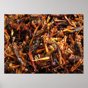 Póster Saltamontes Frito (Takkataen Thot) Comida Asiática