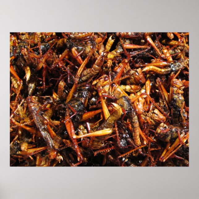 Póster Saltamontes Frito (Takkataen Thot) Comida Asiática (Frente)