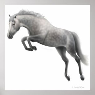 Póster Saltando Caballo Gris Aplastado