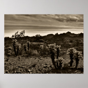 Póster Saltando Cholla Cactus