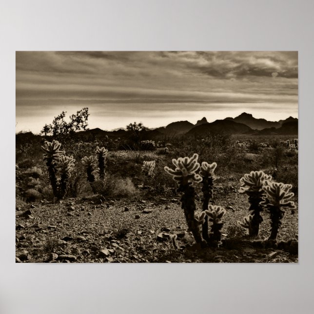 Póster Saltando Cholla Cactus (Frente)