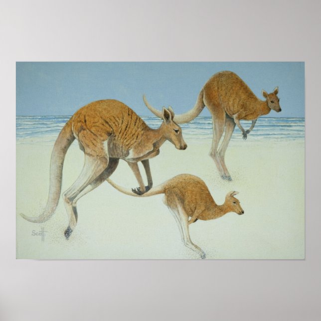 Póster Saltando hacia adelante (Frente)