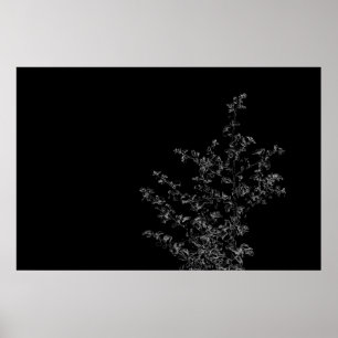 Póster Saltbush Atriplex Leaf Naturaleza Poster mínimo