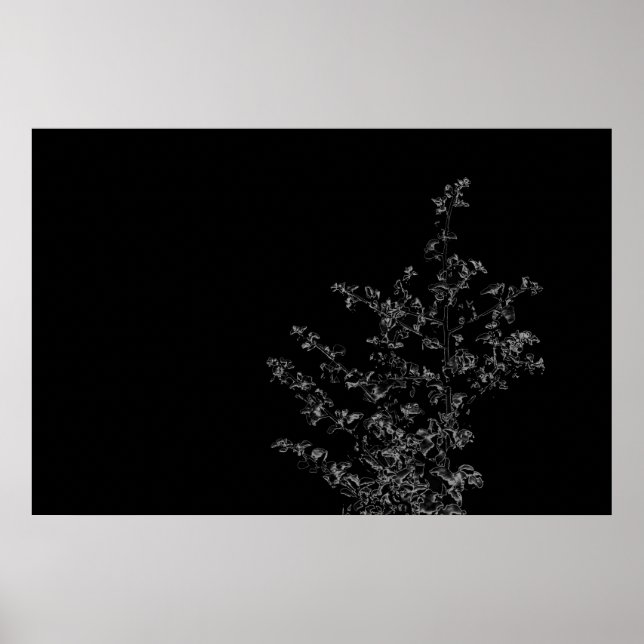Póster Saltbush Atriplex Leaf Naturaleza Poster mínimo (Frente)
