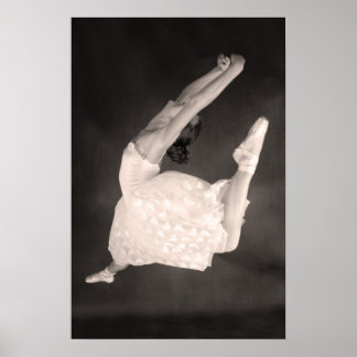 Póster Salto