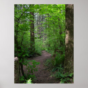 Póster Salto de caminata forestal GT 3