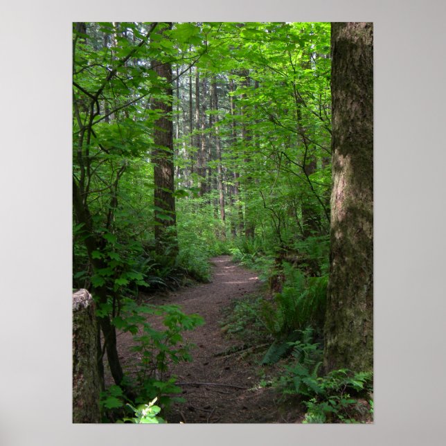 Póster Salto de caminata forestal GT 3 (Frente)