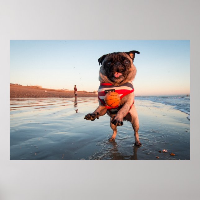 Póster Salto de juego de Pug en la playa (Frente)