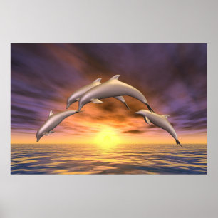 Póster Salto de la salida del sol