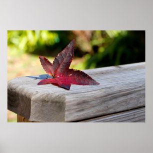 Póster Salto de otoño