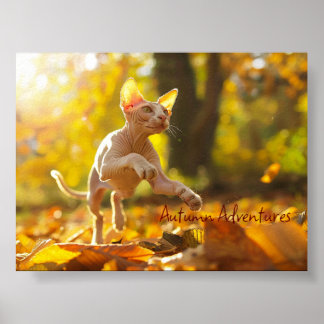 Póster Salto de otoño: Gato Sfinx juguetón