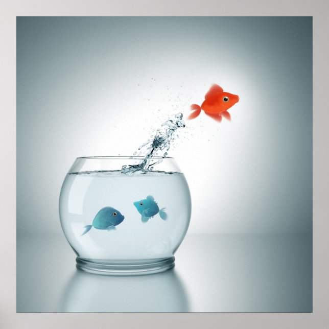 Póster salto de peces rojos (Frente)