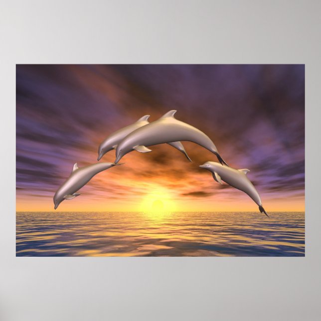 Póster Salto de Sunrise (Frente)