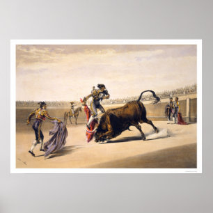 Póster Salto de una Bull
