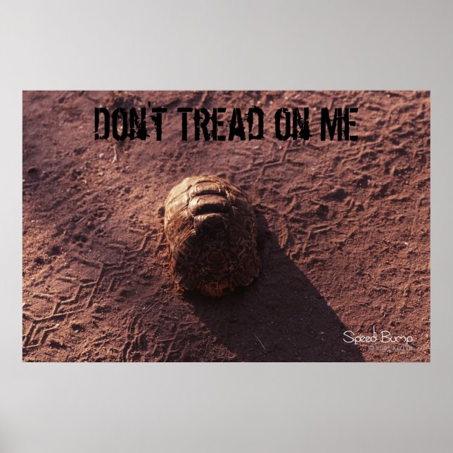 Póster Salto de velocidad (Frente)