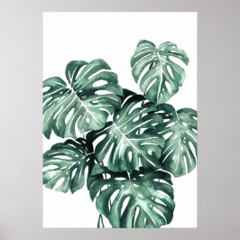 Póster Saltos de Monstera Deliciosa