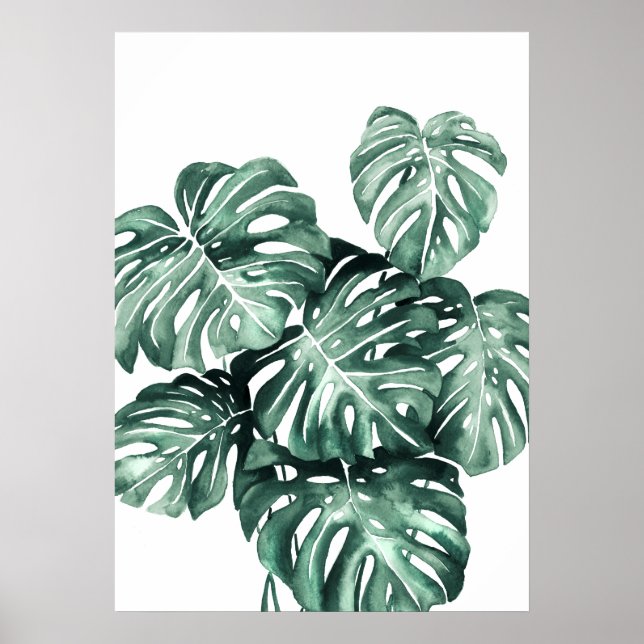 Póster Saltos de Monstera Deliciosa (Frente)