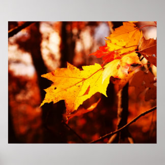 Póster Saltos de otoño en el Poster Poconos