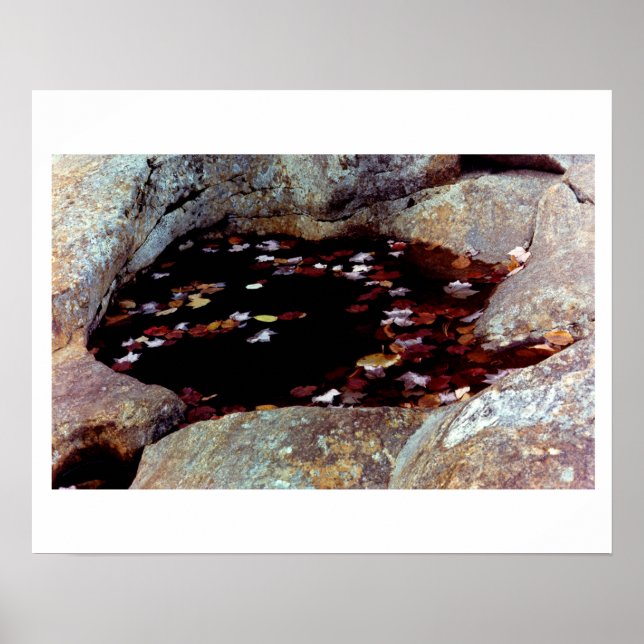 Póster Saltos de otoño en un Poster de billar (Frente)