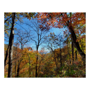 Póster Saltos del bosque de la montaña