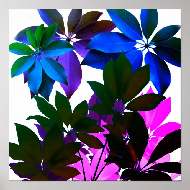 Póster Saltos en papel Poster rosa azul y verde (Frente)