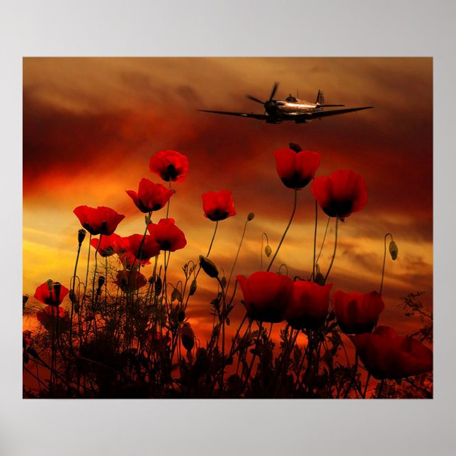 Póster Saludo de Spitfire (Frente)