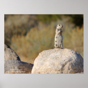 Póster Saludos cordiales