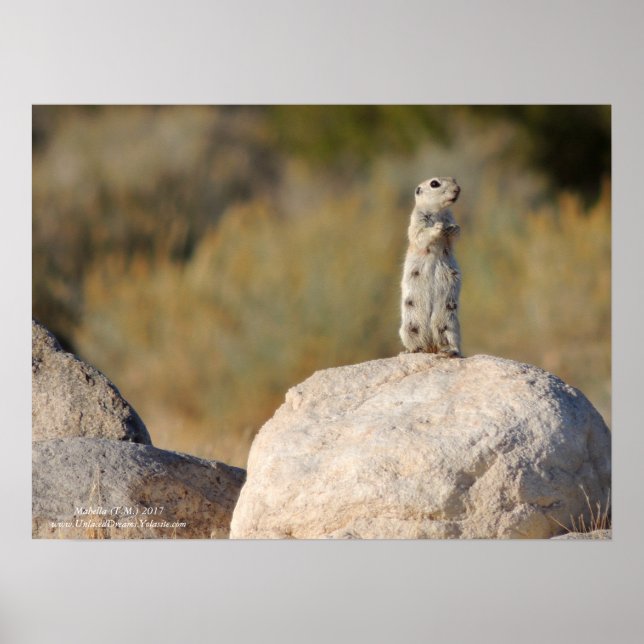 Póster Saludos cordiales (Frente)