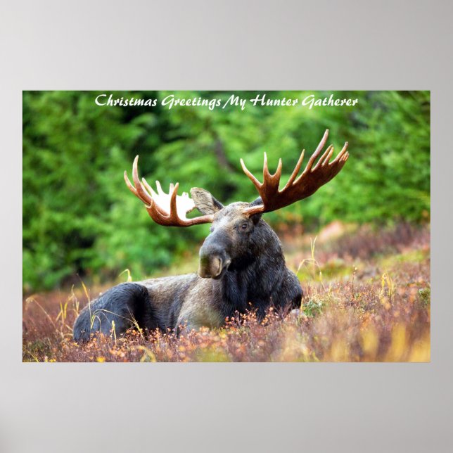 Póster Saludos de Navidad Mi Cazador Recolector (Frente)