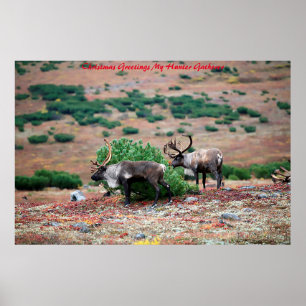 Póster Saludos de Navidad Mi Cazador Recolector